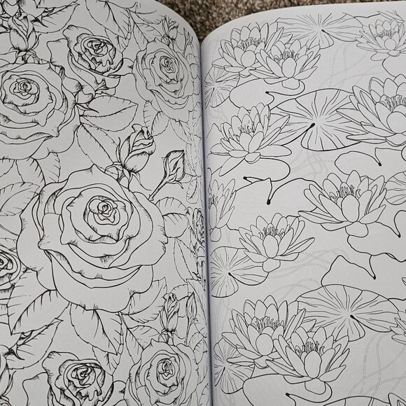 Coloring Book - Picture 2 of 4